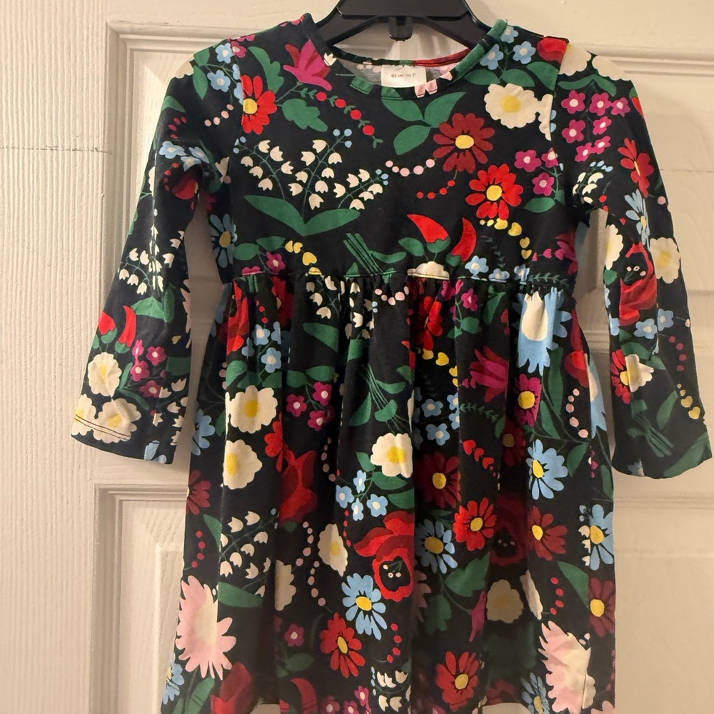 Hanna Andersson Floral Long Sleeve Dress - Black with Multicolor Flowers